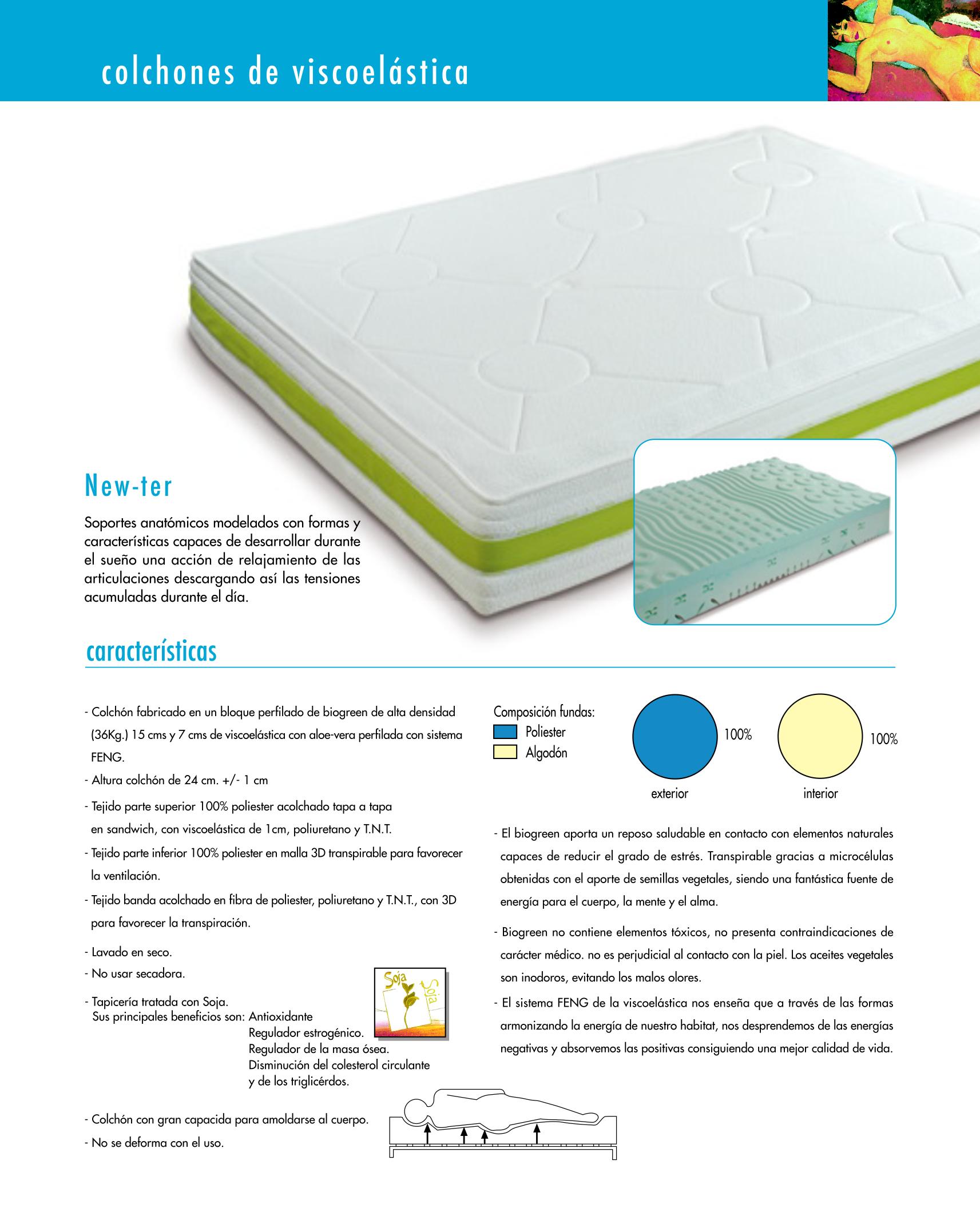 Colchon Viscoelastica New-ter